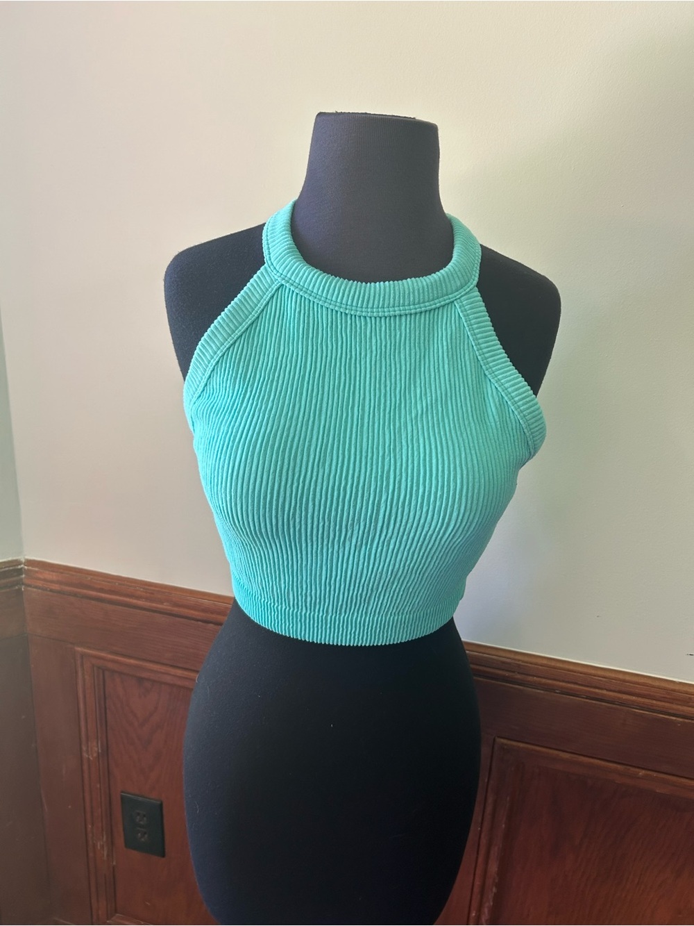 Aerie Ribbed High Neck Lined Crop Top Size Large